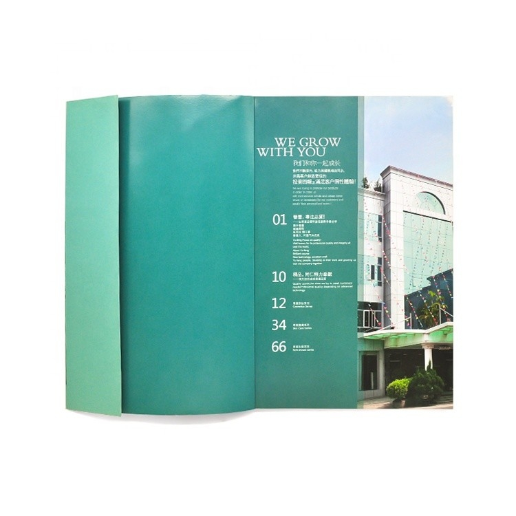 In sách ảnh màu tùy chỉnh 4c + 4c CMYK Màu sắc CMYK Phê duyệt ISO